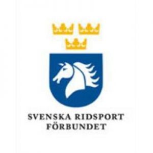 Swedish Driving Champions crowned