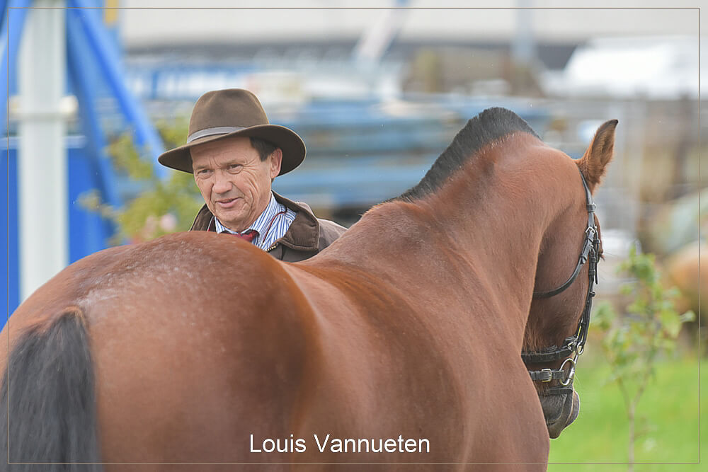 Elsegem 2017: horse inspection