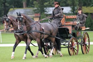 Breda 2017: dressage