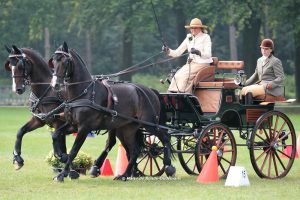 Breda 2017: cones & prize giving