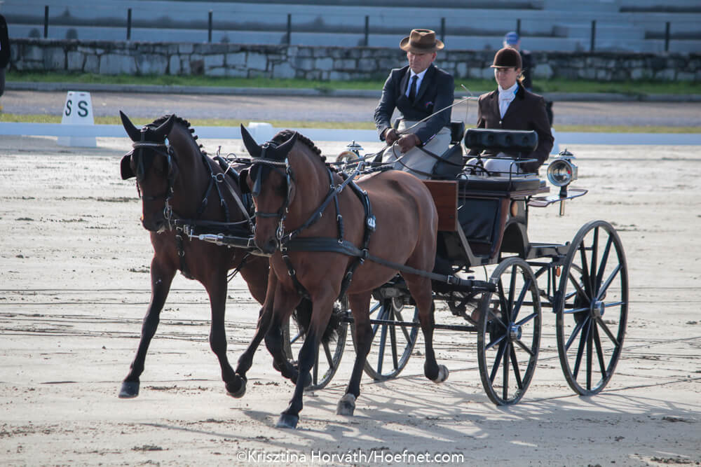 Lipica 2017: dressage Thursday