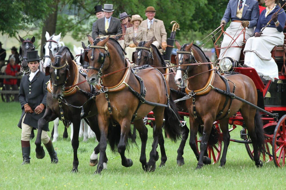 Impressionen Traditionsturniere