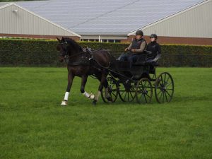 Succesvolle clinic Anne Marie Turbé