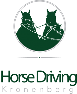 Pony drivers welcome in Kronenberg 2020