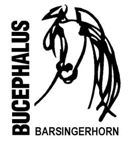 Minimarathon Barsingerhorn op 29 december