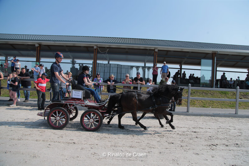 Paard&Koets 2018 szombat