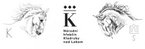 Programme and Jury CAI Kladruby nad Labem announced