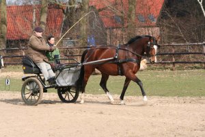 DRFV-Workshop „Einachser“