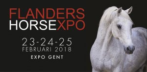 Mennen op Flanders Horse Expo in Gent