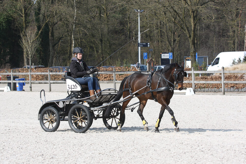 Perspectieventeamleden trainen in Ermelo