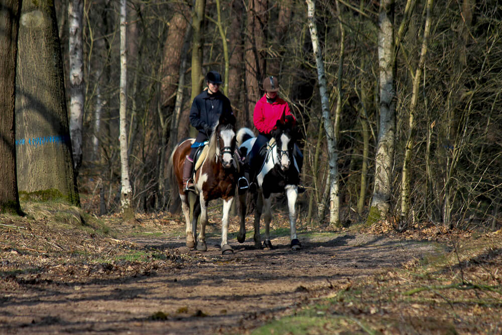 Oriëntatierit & toertocht Eersel