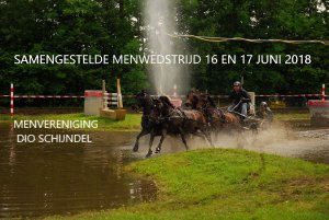 SWM Schijndel op 16 en 17 juni