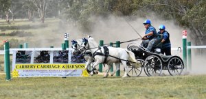 Successful Australian Championship at Witwood