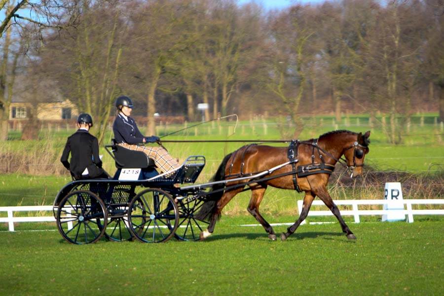 Heukelom 2018