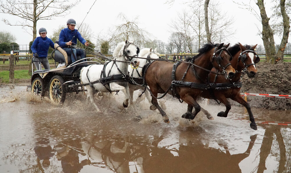 Mooie sport en gezelligheid in Kootwijkerbroek