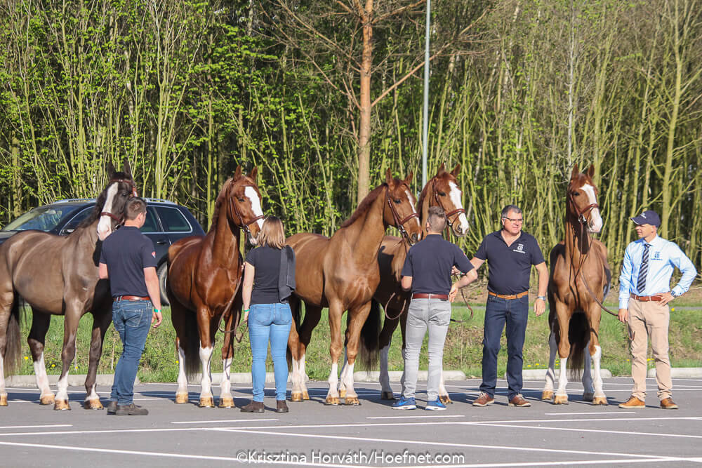 Kronenberg 2018: keuring