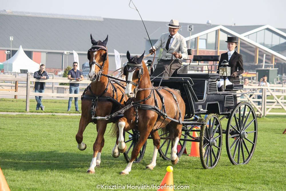 Kronenberg 2018: vaardigheid zaterdag