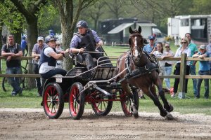 Finalisten KNHS-Witte Van Moort Para Men Trophy bekend (gecorrigeerd bericht)