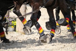 Programm und Jury beim CAIO Schwaiganger bekannt