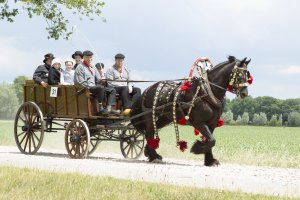 Pinksterrit authentieke rijtuigen in Borkel