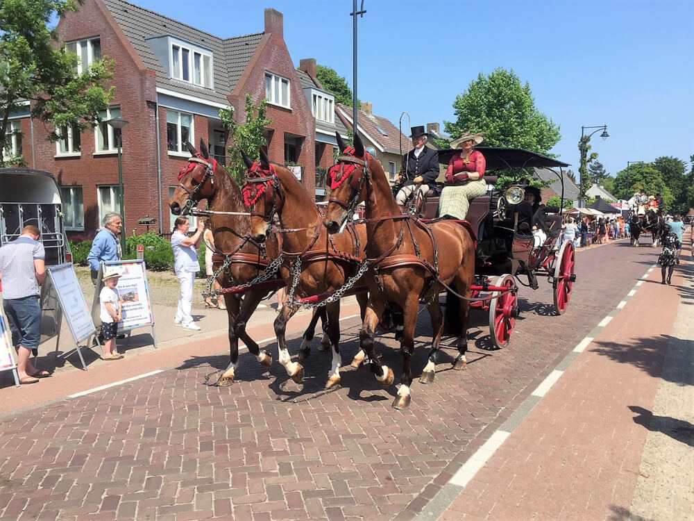 Veertigste Pinksterrit publiekstrekker in Borkel en Schaft