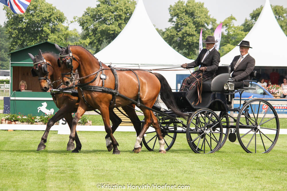 Valkenswaard 2018: Dressur Donnerstag