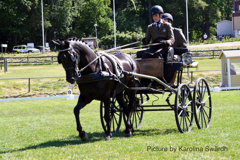 CAN Astorp 2018: Dressage