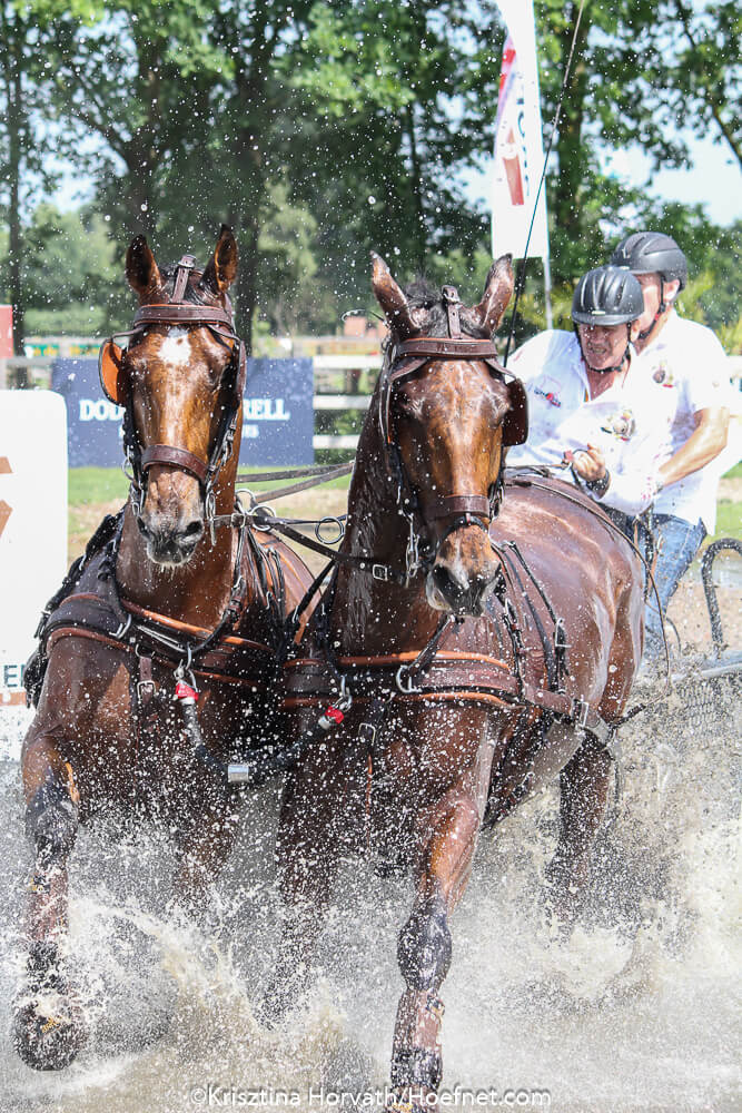 Wim Heylen en Michael Brauchle in de lappenmand