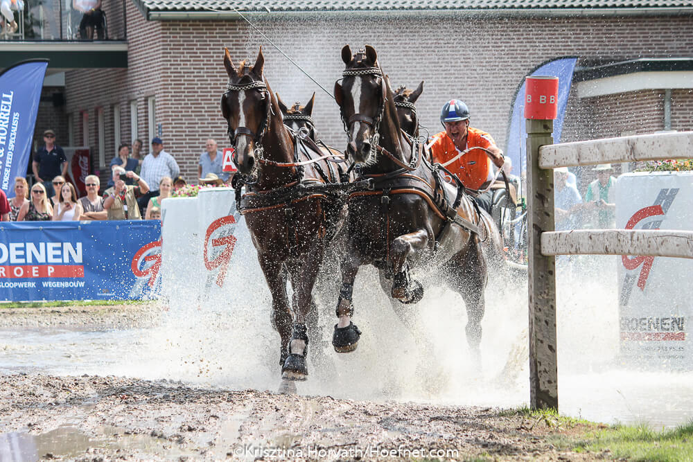 Toppers uit het mennen naar Beekbergen en Valkenswaard