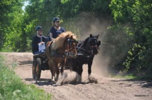 Men-TREC wedstrijd in Vorstenbosch op 23 en 24 juni