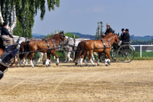 Altenfelden 2018: akadályhajtás