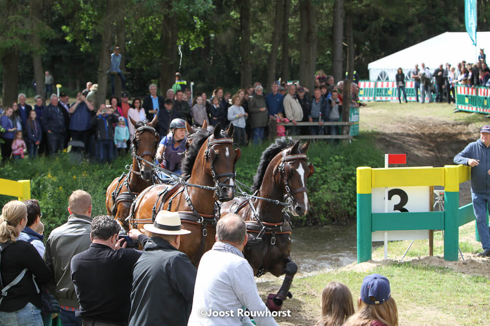 Riesenbeck 2018: marathon