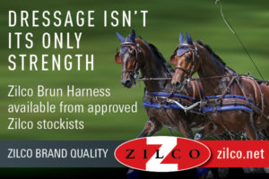 New Zilco Carriage Driving brochure