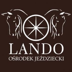 Polnische Fahrer prägen das erste CAIO für Zweispänner Pferde in Polen
