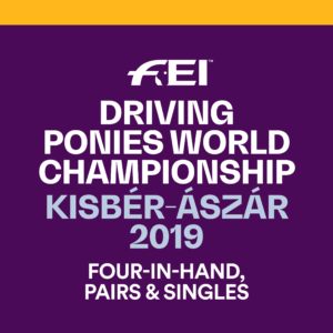 Kisbér-Ászár: German pair ponies on top