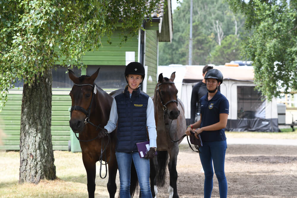 Falsterbo Horse Show Driving 2018