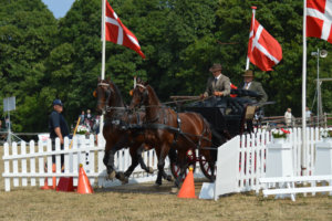 Nationale Meisterschaften in Dänemark, Schweden, Tschechien und Österreich