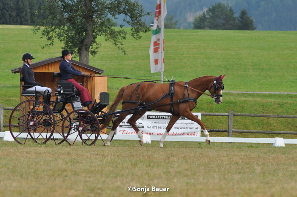 CAN Viechtwang 2018: dressage Thursday