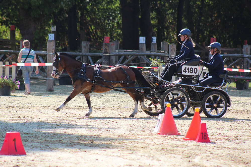 SWM Wierden 2018: impressie