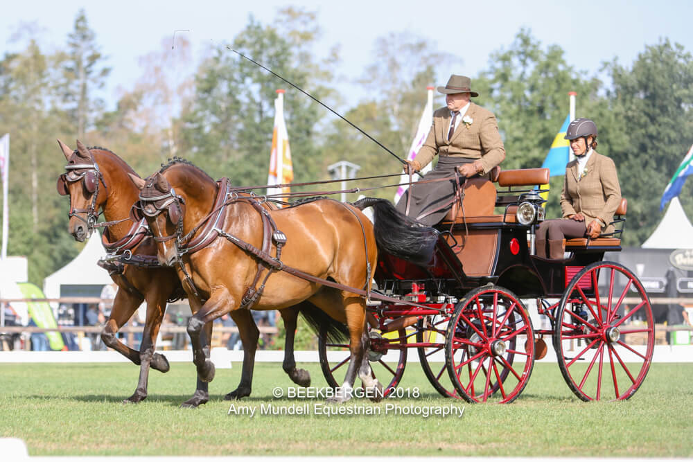 Beekbergen 2018: dressage Thursday