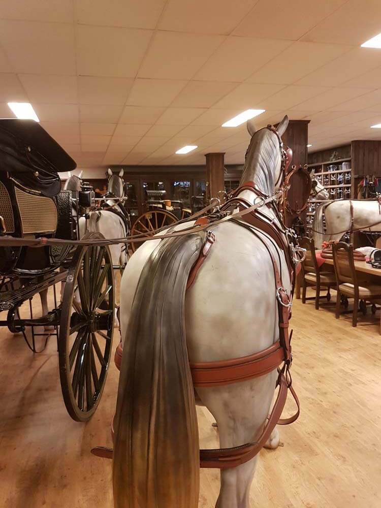 for sale: VAN der Wiel Harness Horses