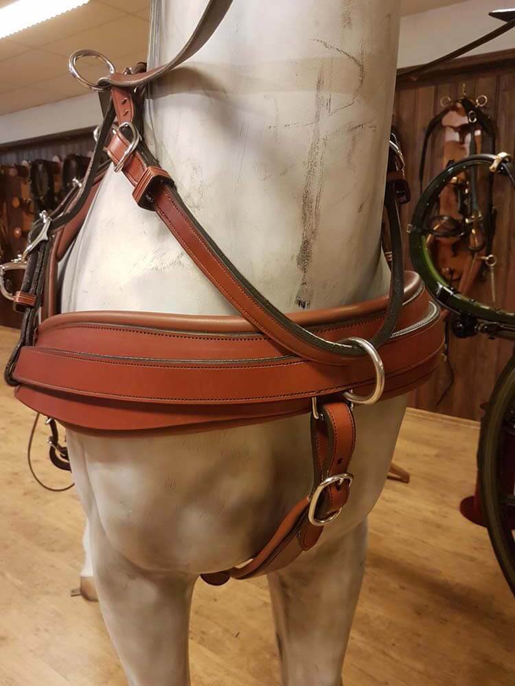 for sale: VAN der Wiel Harness Horses