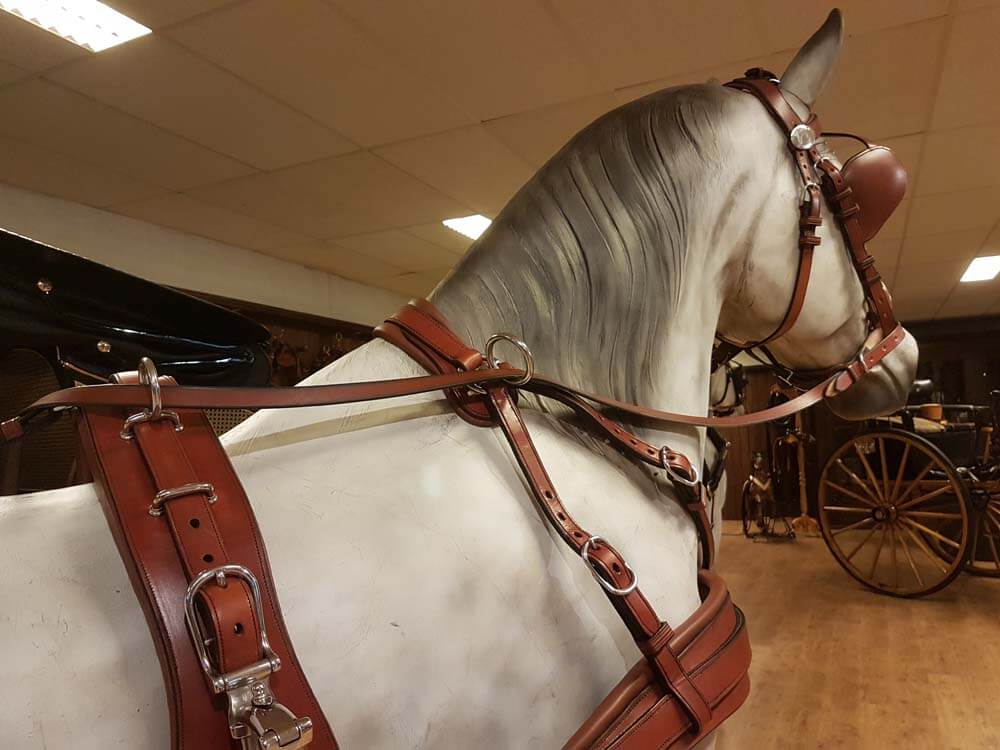 for sale: VAN der Wiel Harness Horses