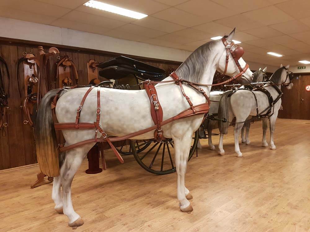  Tandemmenners welkom bij Van der Wiel Harness