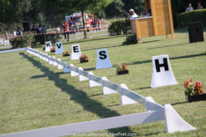 World Pony Driving Championships Kisbér-Ászár is looking for experienced volunteers