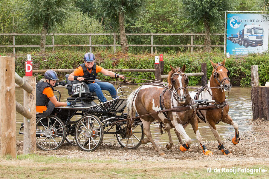 NK pony’s & SWM Oirschot 2018: marathon