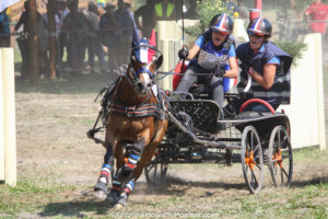 FEI European Championship for Youth Lamotte Beuvron cancelled