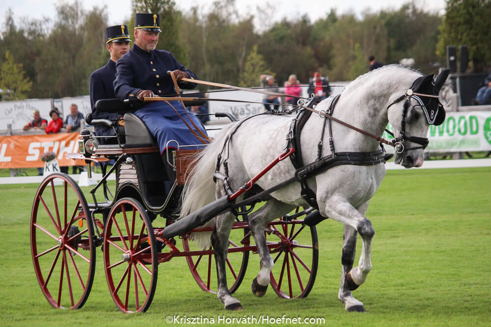 Kronenberg 2018: dressage Friday