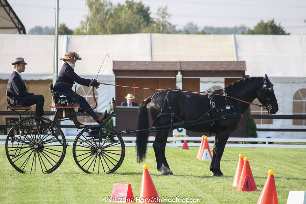 Mezőhegyes 2018: dressage Thursday