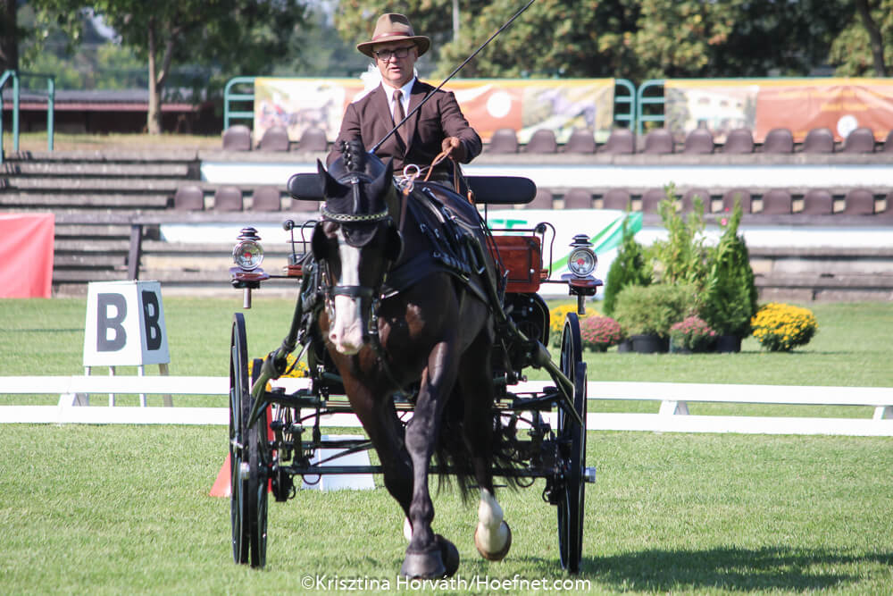 Mezőhegyes 2018: dressage Friday